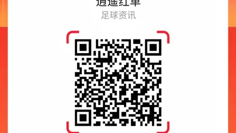 宫鲁鸣名言：优质素材成就佳肴，邓雨婷如何驾驭
